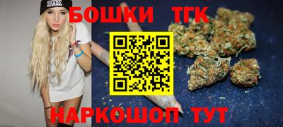 индика Рузаевка