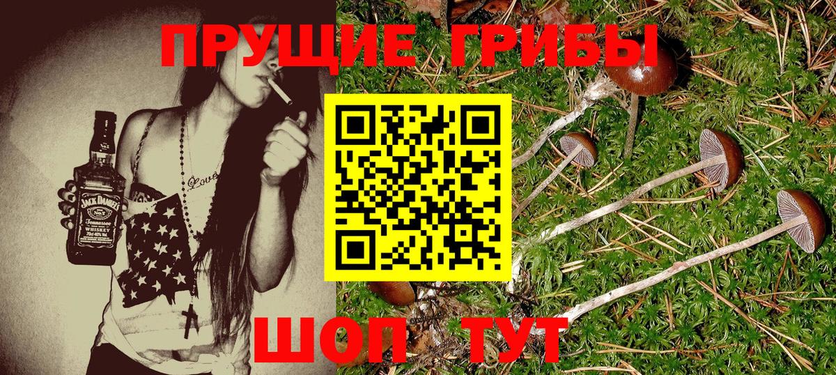 купить   Псилоцибиновые грибы ЛСД  Галлюциногенные грибы ЛСД  Вход с VPN  Похвистнево 